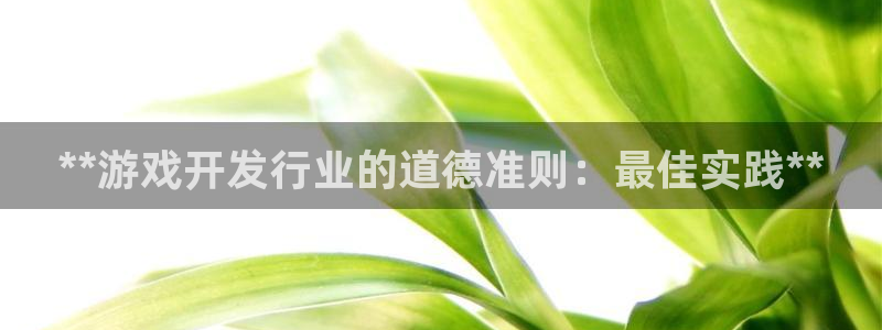 新城平台注册网址是多少