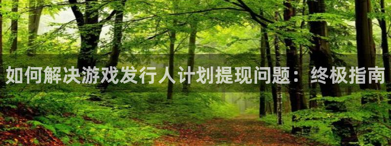 新城平台登录入口官网网址：如何解决游戏发行人计划提现问题：终极指南