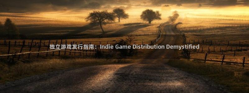 新城平台平台最新活动信息：独立游戏发行指南：Indie Game Distribution Demystified